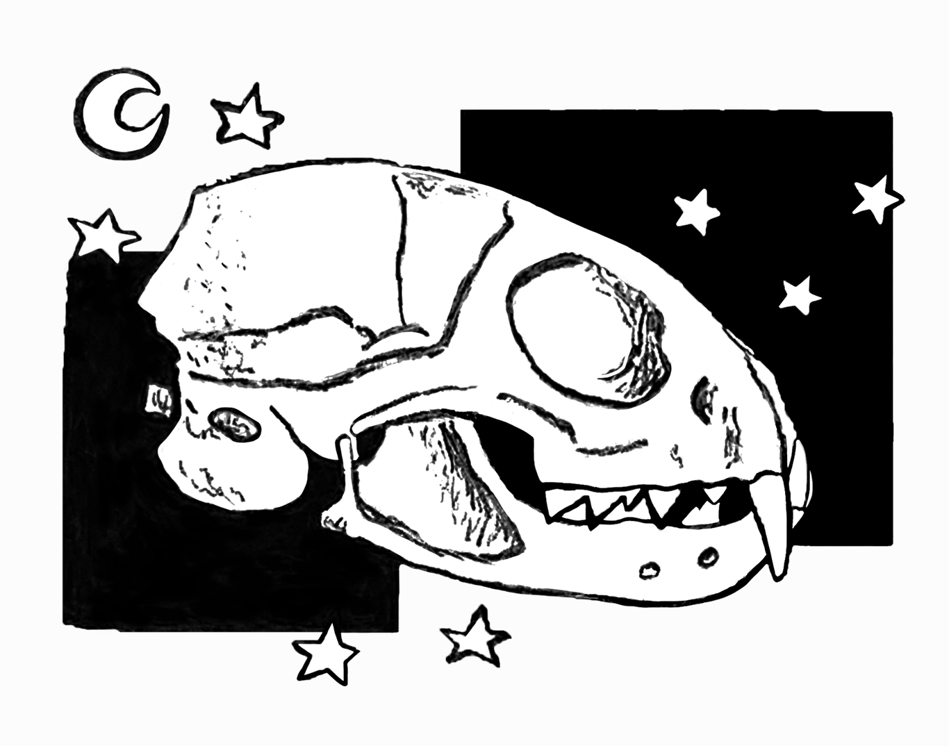 Simply stylized black-and-white drawing of a cat skull with two large black squares of slightly varying sizes behind it, one on the lower left side of the drawing and one on the upper right side, and surrounded by several small white stars and a small white moon. The entire composition is centered on a slightly off-white background.