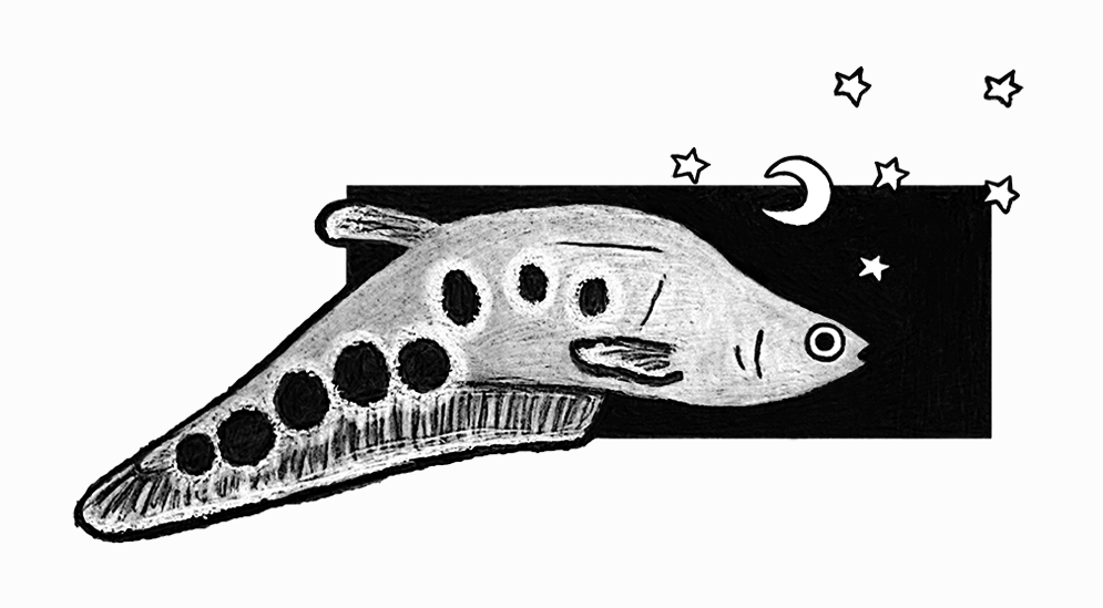 Digitally edited black-and-gray graphite pencil drawing of a clown knifefish with a small white moon and several small white stars on the top right. A black rectangle partially frames the fish and stars, but the bottom left part of the fish and top right stars extend from the frame. The entire composition is centered on a slightly off-white background.