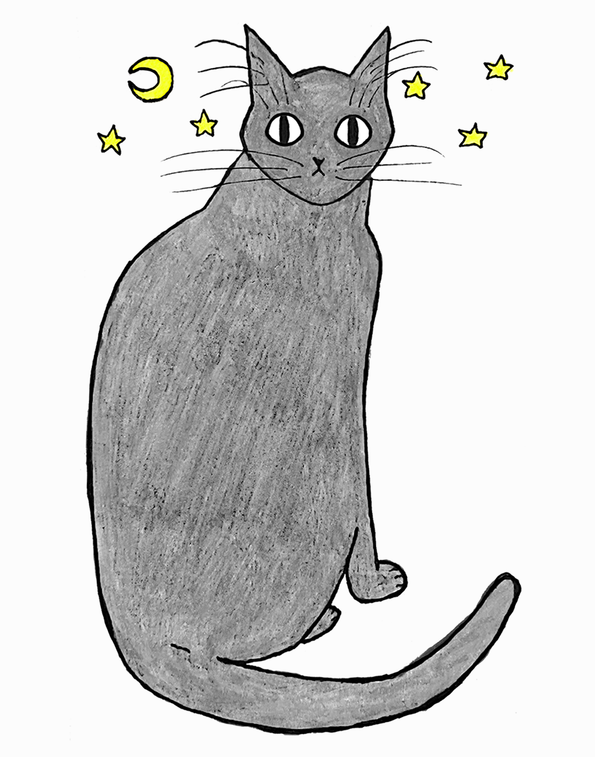 Stylized drawing of a black cat in grayscale sitting on a slightly off-white background with 5 small yellow stars and a small yellow moon scattered around his head.