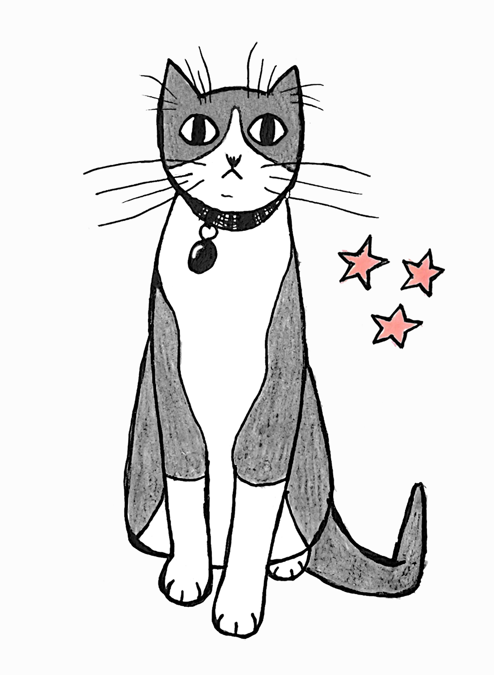 Stylized drawing of a tuxedo cat with a black collar and tag sitting on a slightly off-white background. There are 3 small pink stars right next to him, on the right side.