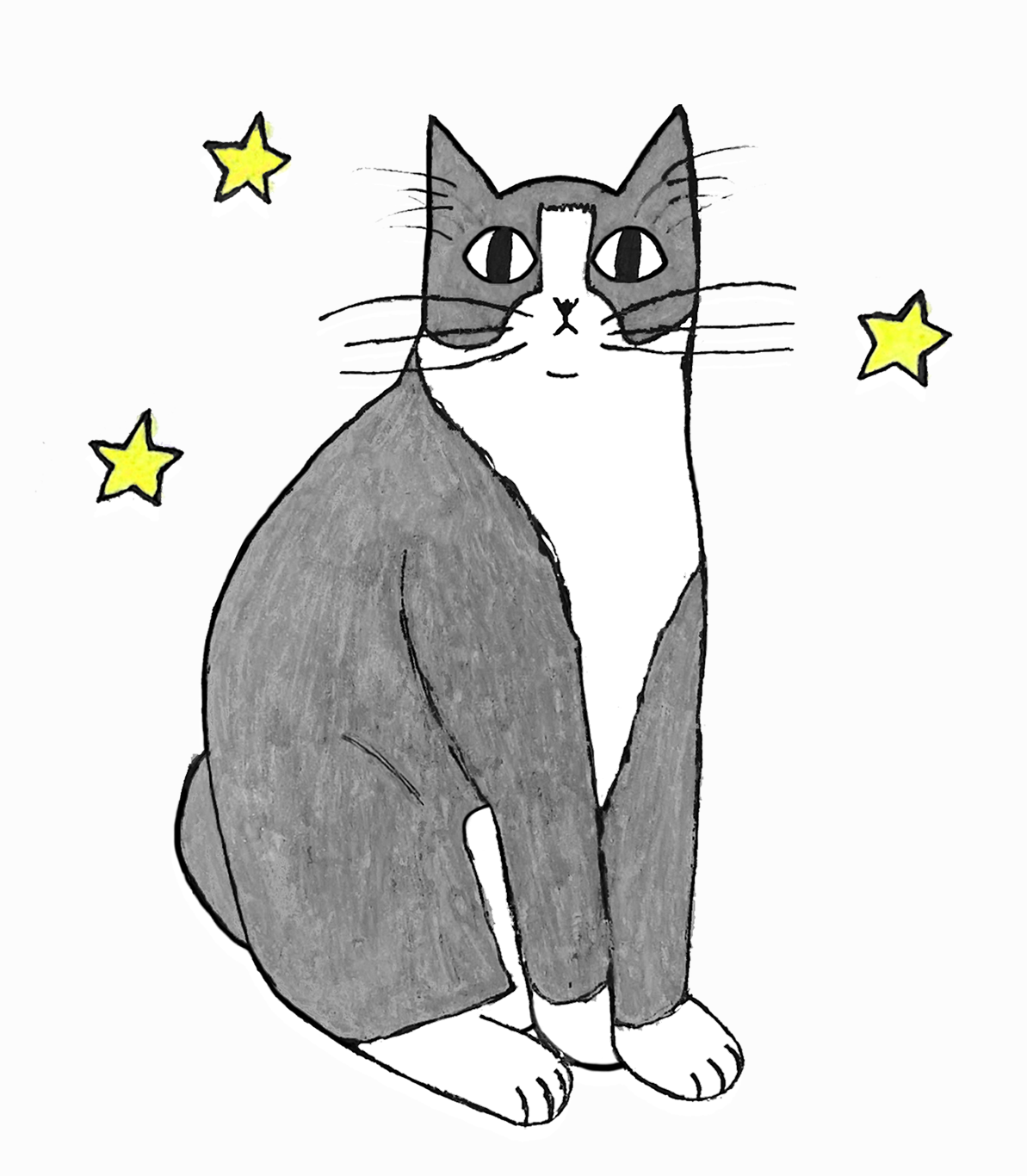 Stylized drawing of a tuxedo cat sitting on a slightly off-white background with 3 small yellow stars scattered around him.