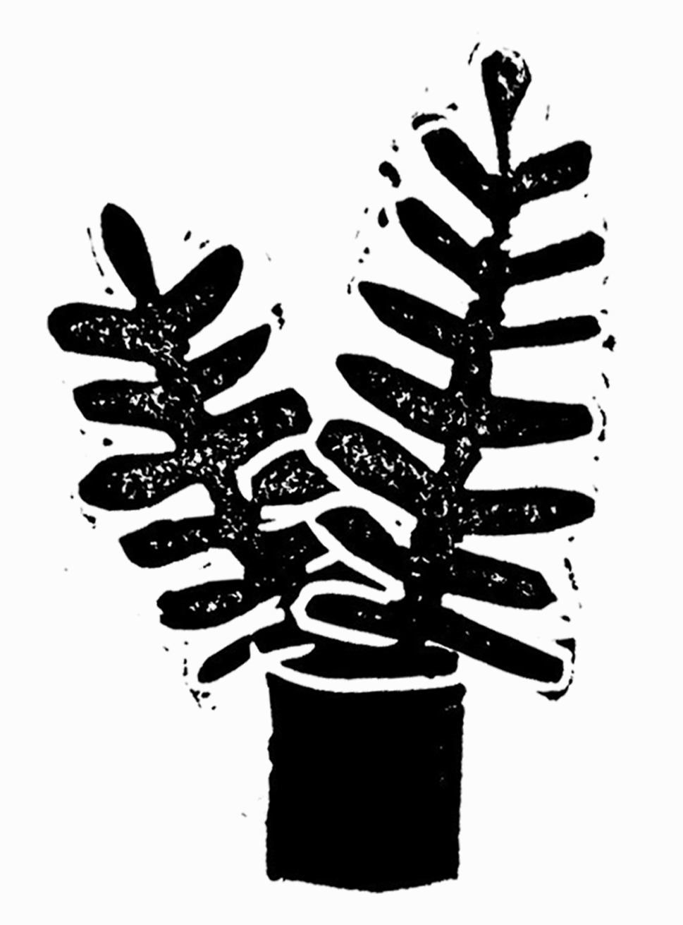 Somewhat grainy black-and-white linocut print of a simply stylized fern in a pot, centered on a slightly off-white background.